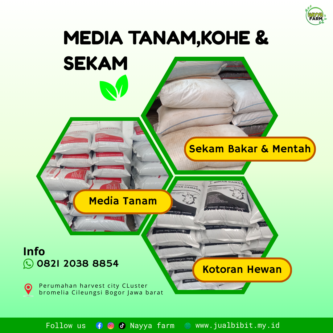 Media Tanam: Kotoran Hewan (Kohe), Sekam Mentah, dan Sekam Bakar