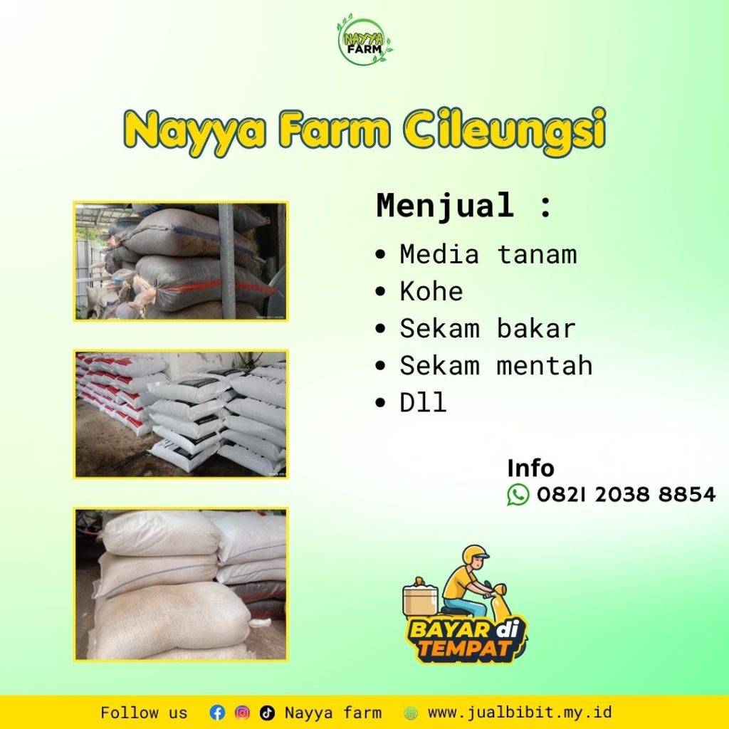 Media Tanam Terbaik untuk Pertanian dan Perkebunan: Kohe, Sekam Bakar, dan Sekam Mentah